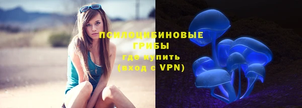 СК Заводоуковск